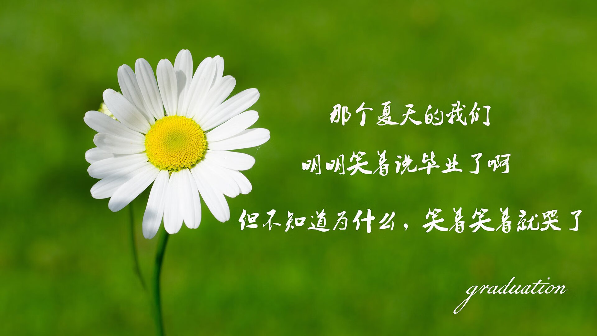 KAIYUN 中国大陆-德甲青训加速度，未来之星跃跃欲试，德甲青训排名