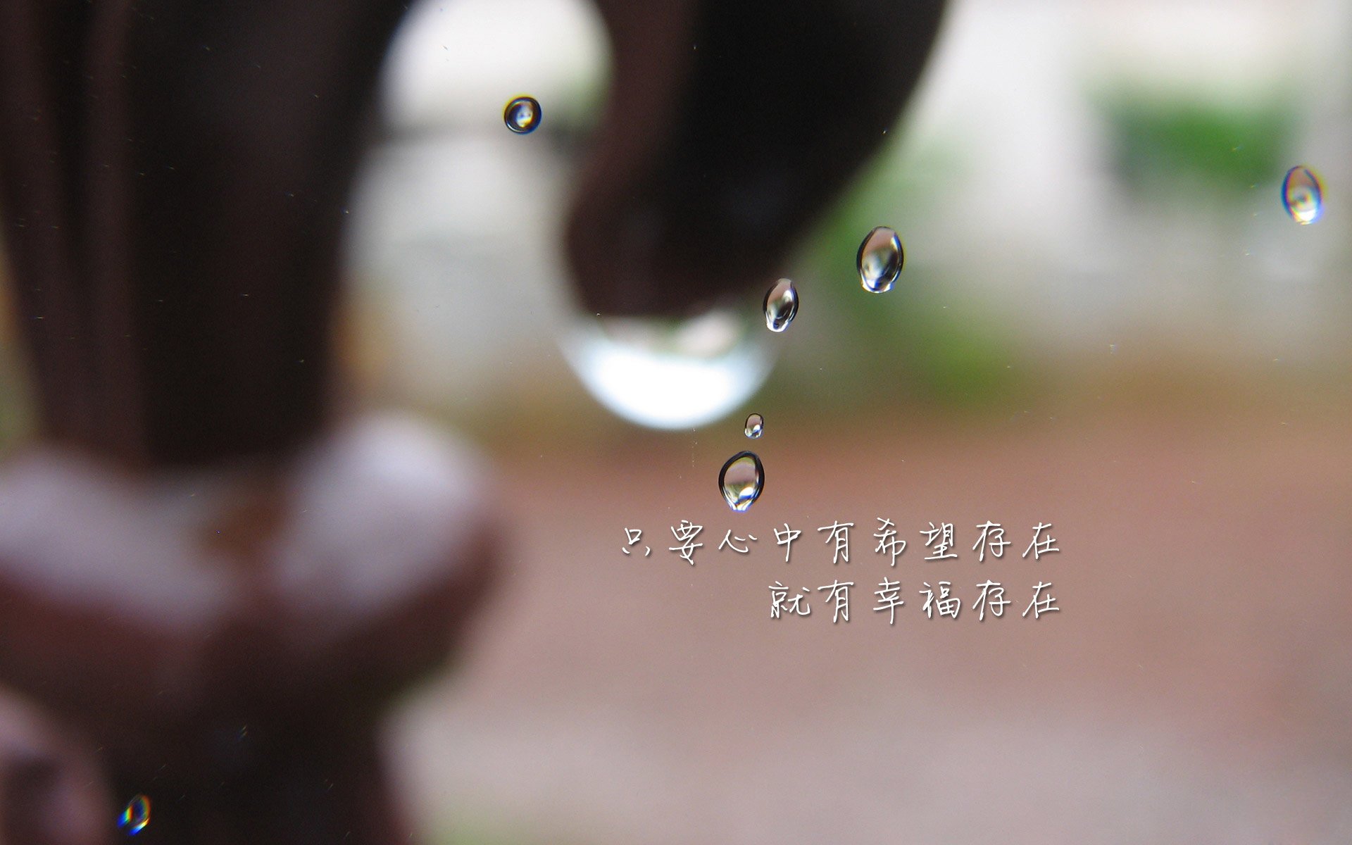 全国武术锦标赛精彩对决吸睛无数，全国武术竞赛