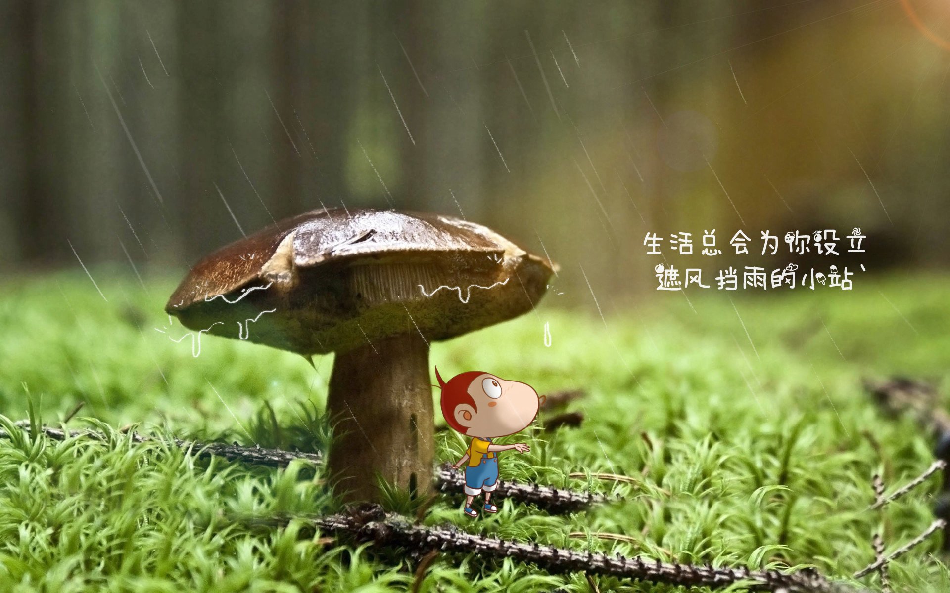 掘金三巨头合砍八十分击退凯尔特人,掘金99-112不敌凯尔特人