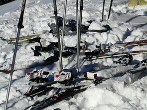 开云官网-滑雪运动装备检测标准逐步完善，滑雪装备示意图
