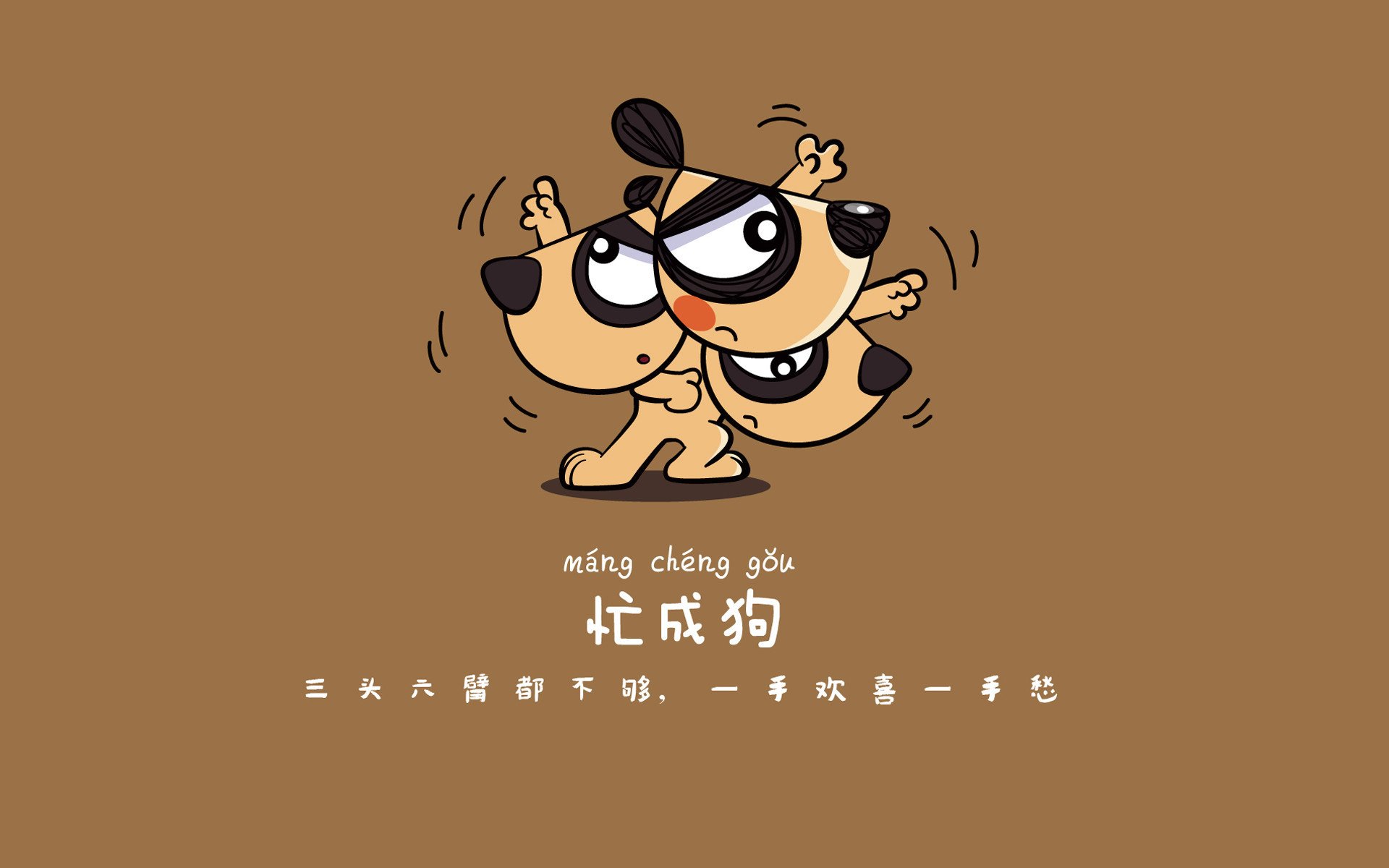 自由泳冲刺比利时保持领先节奏,自由泳 冲刺