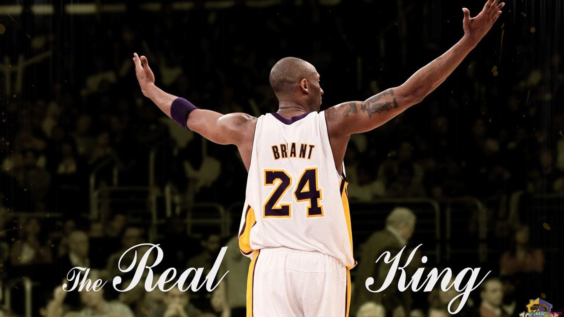 开云体育中国官方网站-各队潜力股大曝光：明年有望大放异彩的新星，今年潜力股